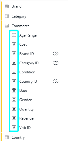 Data field type