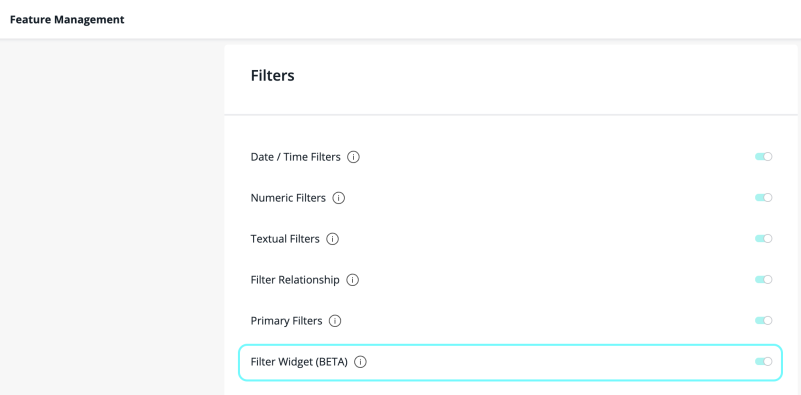 Feature management filters