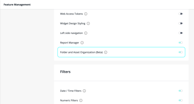 Feature Management page with the Folder and Asset Organization (Beta) toggle turned on, below Report Manager